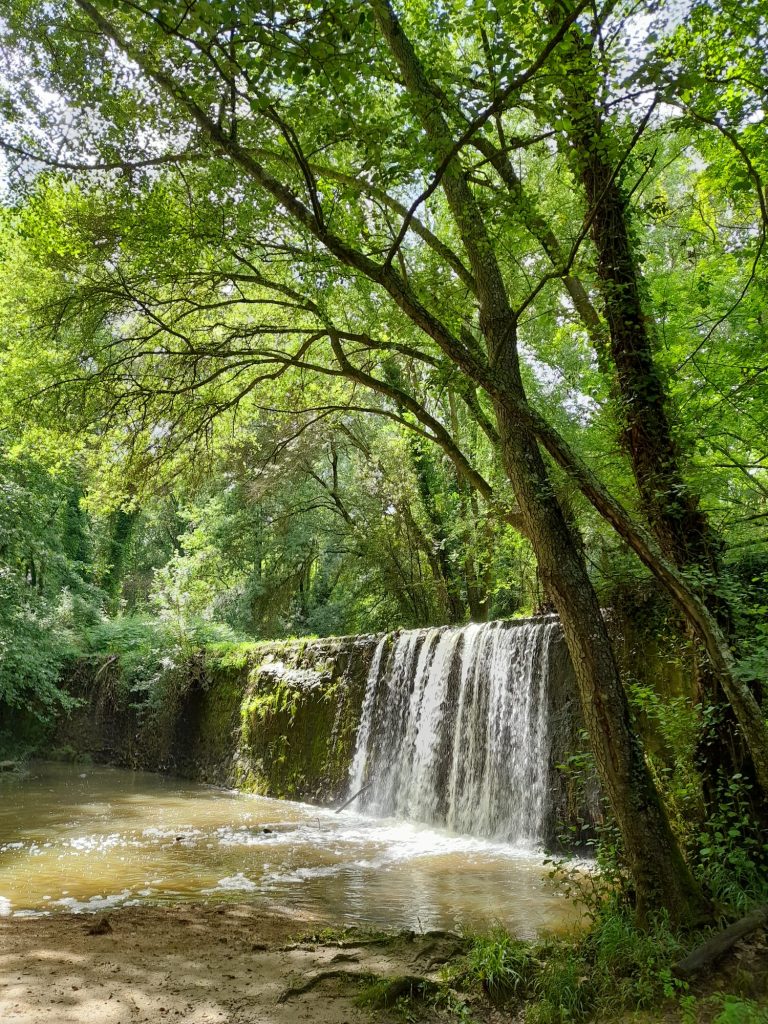 Meditació Girona